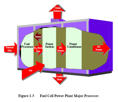 overview of plant cell. Then, an overview of the main