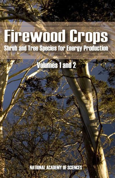 Firewood-Cover.jpg